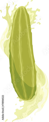 Homemade pickled cucumber. Clip-art of marinated food for packaging, label, menu, signboard or showcase. Fermented veggies, crunch gherkin with salt. Healthy vegetarian food