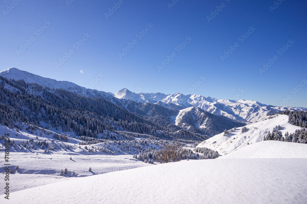 Fantastic winter landscape after a snowfall in the mountains not far from Almaty. Kok-zhailau plateau in the snow, a popular tourist route in the mountains.