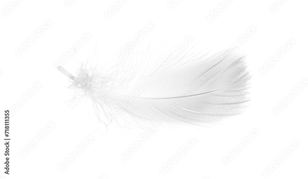 Beautiful fluffy bird feather isolated on white Beautiful fluffy bird feather isolated on white