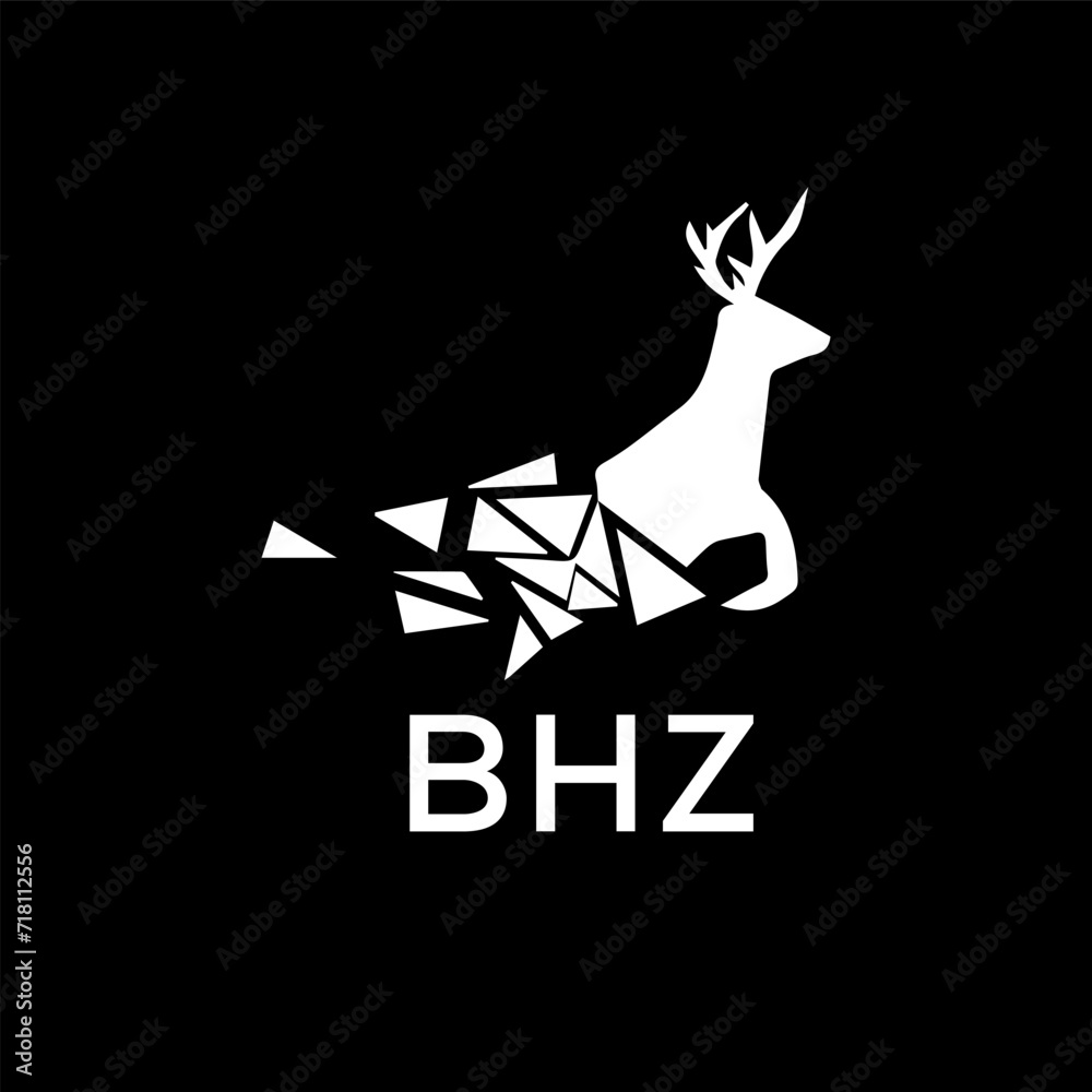 BHZ Letter logo design template vector. BHZ Business abstract connection vector logo. BHZ icon circle logotype.
