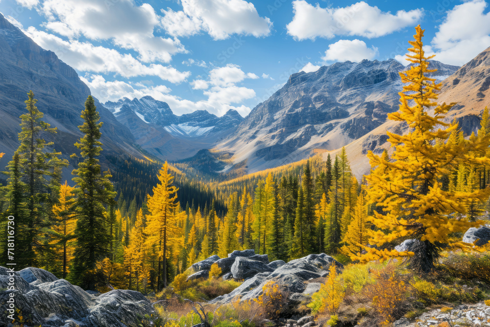 Scenic Landscapes of a high mountain valley and golden Larch Trees, Burstall Pass area of Kananaskis Country Alberta Canada on a sunny Autumn afternoon - obrazy, fototapety, plakaty 