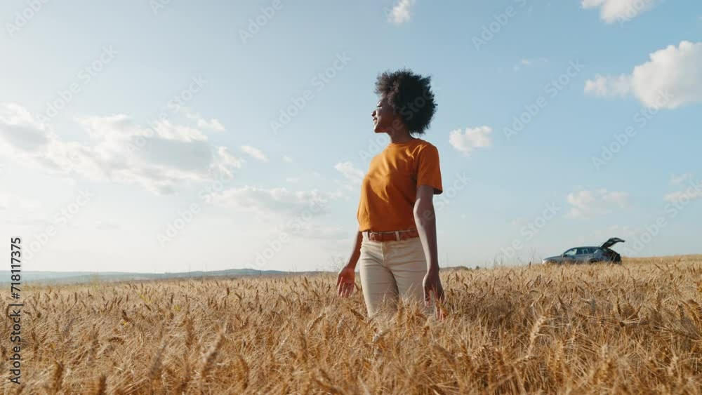 Happy black woman with afro hair stands in middle of field of golden wheat against wind smiling rejoicing in freedom blue sky clouds in an auto trip summer at sunset. Travel concept. Go everywhere. Happy black woman with afro hair stands in middle of field of golden wheat against wind smiling rejoicing in freedom blue sky clouds in an auto trip summer at sunset. Travel concept. Go everywhere.
