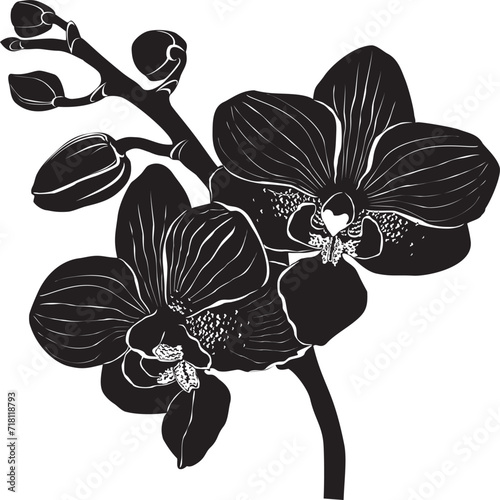 Drawn vector ink orchid flowers and branches, monochrome, detailed outline. Circle wreath composition. Isolated on white background. Design for wall art, wedding, print, tattoo, cover, card