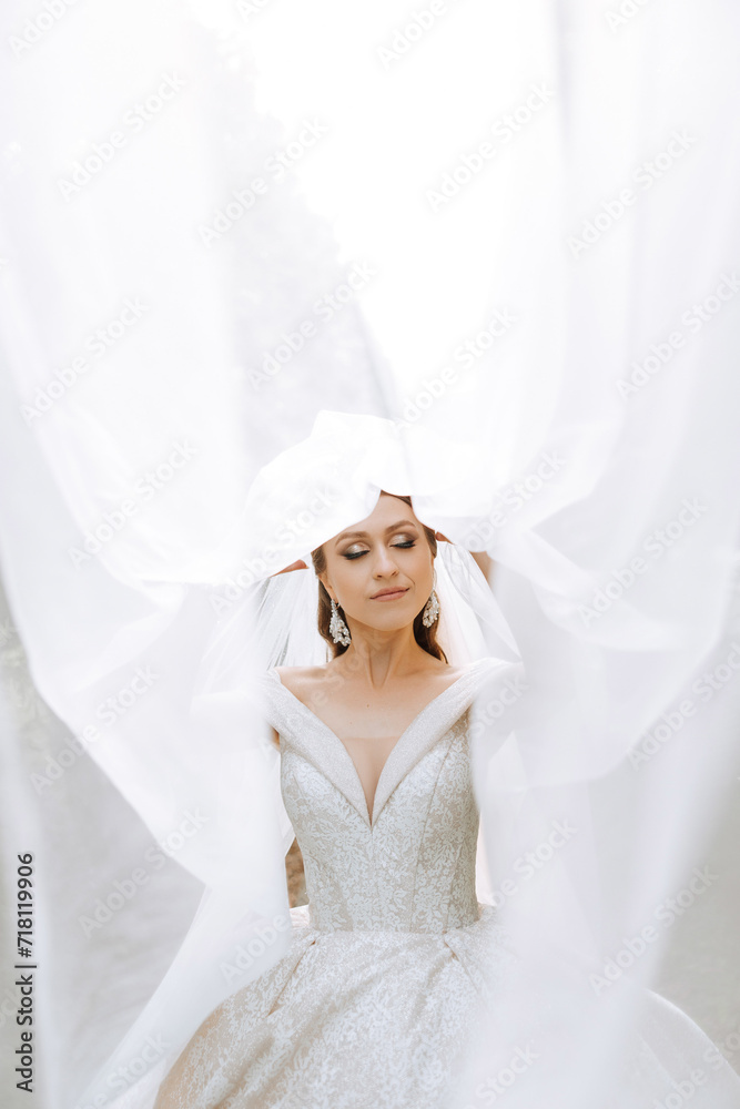 portrait of a beautiful young bride in a white dress with a long veil and a gorgeous hairstyle. Smiling bride. Wedding day. Gorgeous bride. Marriage. portrait of a beautiful young bride in a white dress with a long veil and a gorgeous hairstyle. Smiling bride. Wedding day. Gorgeous bride. Marriage.