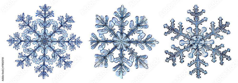 Collection set of snowflakes isolated on transparent or white background, png Collection set of snowflakes isolated on transparent or white background, png