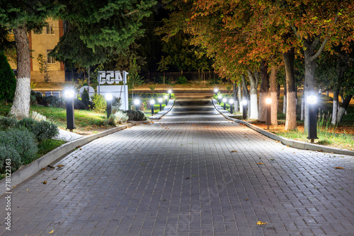Night illumination of the city sidewalk. Background with selective focus and copy space © Iurii Gagarin