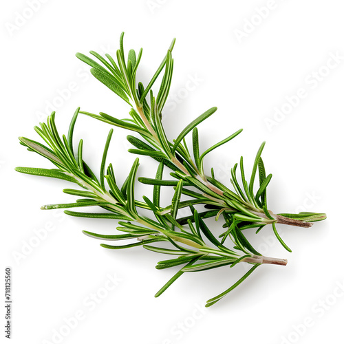 A sprig of fresh rosemary isolated on a white background  photo