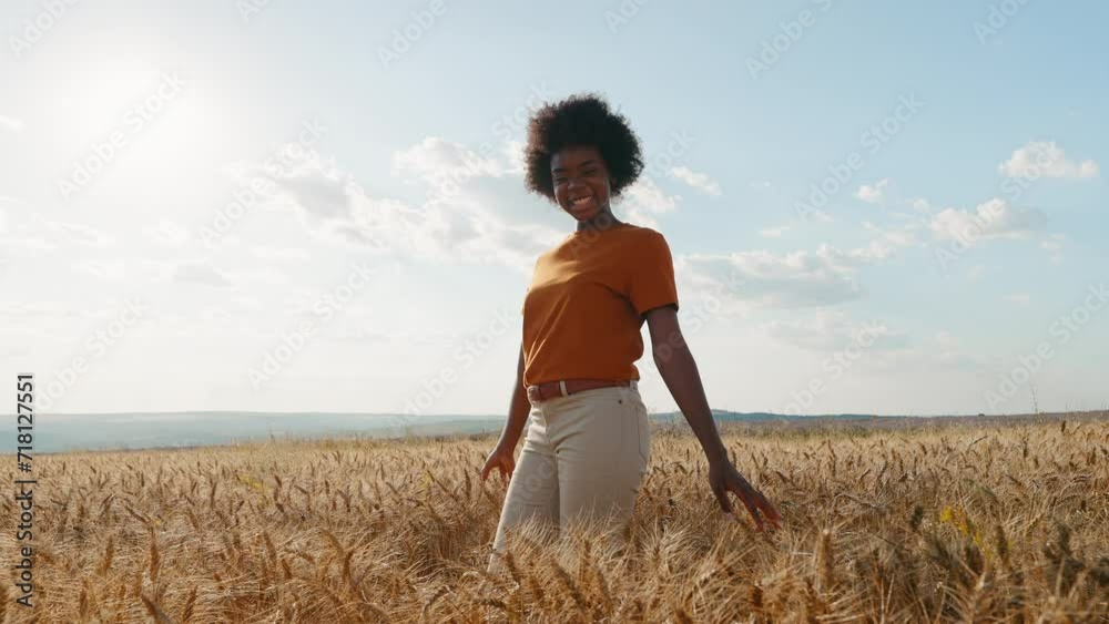 Happy black woman with afro hair stands in middle of field of golden wheat against wind smiling rejoicing in freedom blue sky clouds in an auto trip summer at sunset. Travel concept. Go everywhere. Happy black woman with afro hair stands in middle of field of golden wheat against wind smiling rejoicing in freedom blue sky clouds in an auto trip summer at sunset. Travel concept. Go everywhere.