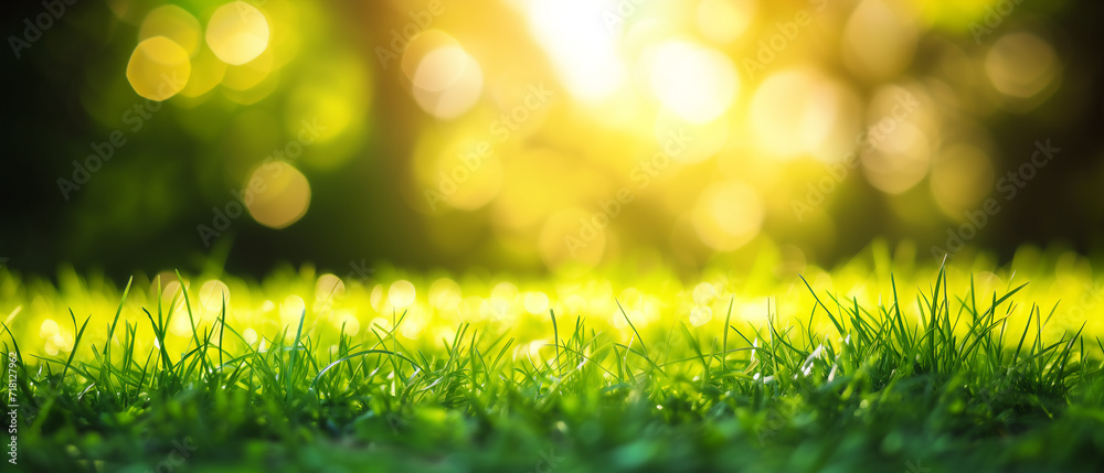 Art abstract spring background or summer background with fresh grass. Green grass with sunset view. Selective focus. Generative Ai