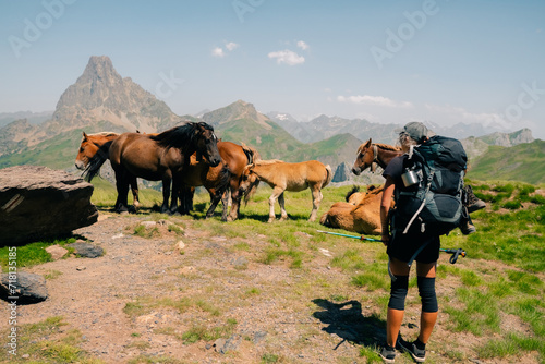 horses and hiker in the fields in the Pyrenees