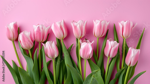 Pink tulips bouquet on pink background