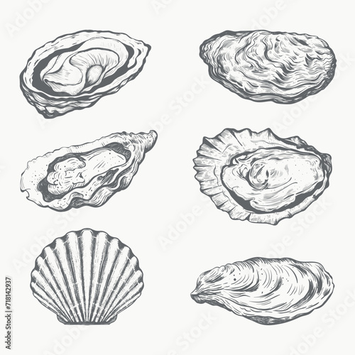 Oysters and scallop. Seafood collection