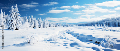 White snow with pine trees in snow-covered forest background