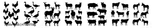 set of silhouette of farm animals. chicken, hen, duck, goose, goat, ram, sheep, lamb, pig, cow, ox, donkey. 