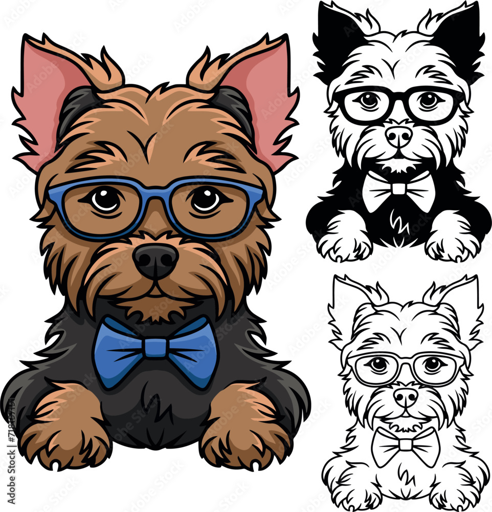 Cute Yorkshire terrier with glasses and bow tie Cute Yorkshire terrier with glasses and bow tie