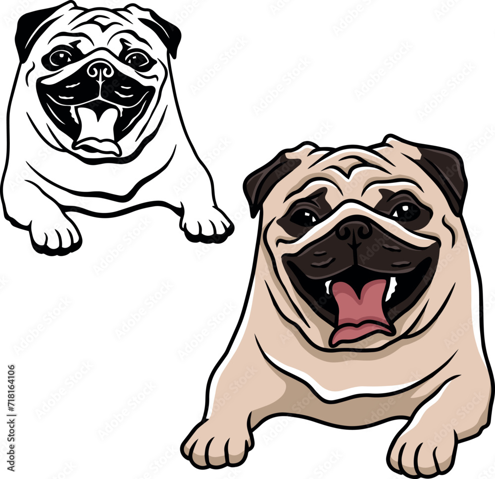 Pug vector Pug vector