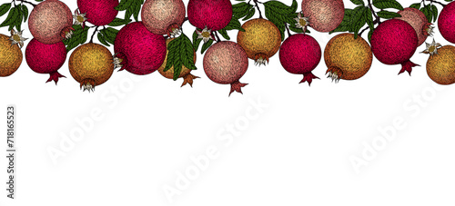 Pomegranate banner. Pomegranate plant branch with fruits. Vintage Pomegranates border. Hand drawn ink style fruit background. Pomegranate tree, ripe fruit. Rosh hashanah print.Textile, fabric texture