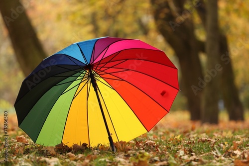 Open rainbow umbrella on fallen leaves in autumn park