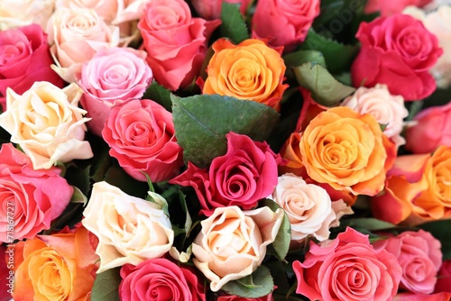Bouquet of beautiful roses as background  top view