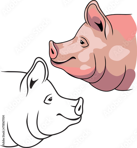 Pig vector
