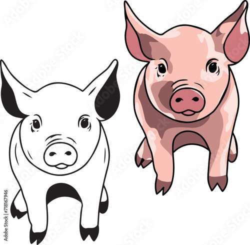 Pig vector
