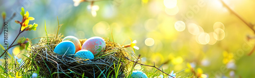 Buntes Osternest mit Eiern im Gras an einem sonnigen Frühlingstag - Osterdekoration, Banner, Panorama, Hintergrund #718172300