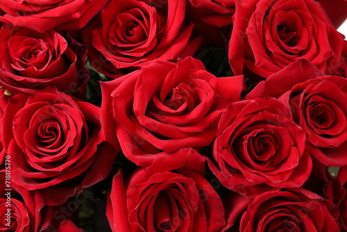 red roses bouquet 