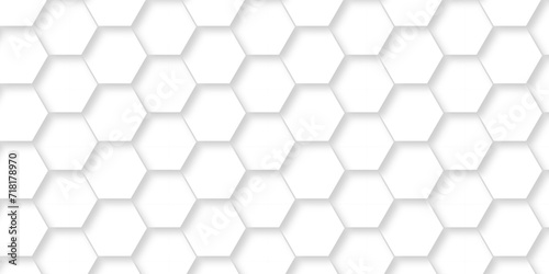 Fototapeta Naklejka Na Ścianę i Meble -  Abstract background with hexagon and white Hexagonal Background. Luxury White Pattern. Vector Illustration. 3D Futuristic abstract honeycomb mosaic white background. geometric mesh cell texture.