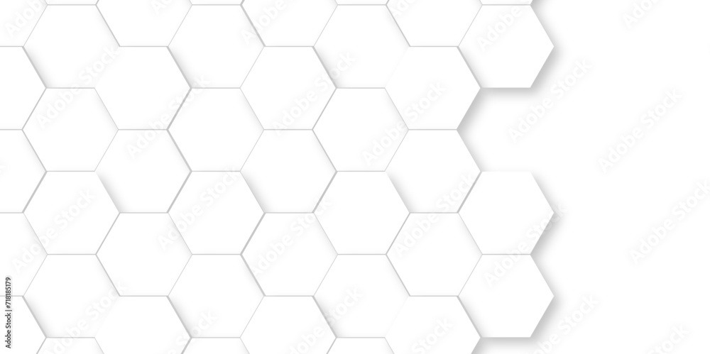 Abstract 3d background with hexagons pattern with hexagonal white and gray technology line paper background. Hexagonal vector grid tile and mosaic structure mess cell. white and gray hexagon. Abstract 3d background with hexagons pattern with hexagonal white and gray technology line paper background. Hexagonal vector grid tile and mosaic structure mess cell. white and gray hexagon.
