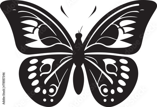 butterfly vector © SB DESIGN STORE