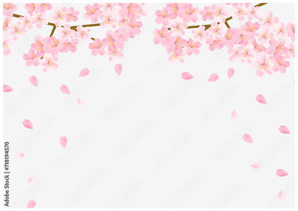 桜の花舞う春の放射状フレーム背景17灰色