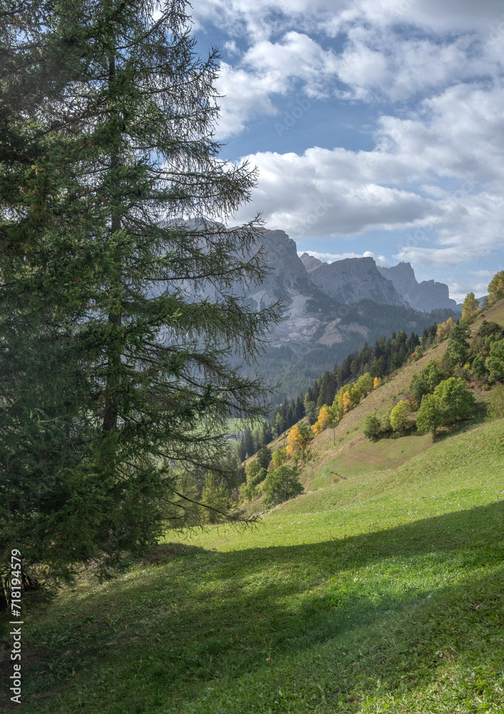 Panoramic view of nature and mountains in the Dolomites Italy