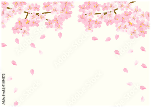 桜の花舞う春の放射状フレーム背景17黄色