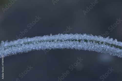 a blade of grass covered with ice crystals © Peter
