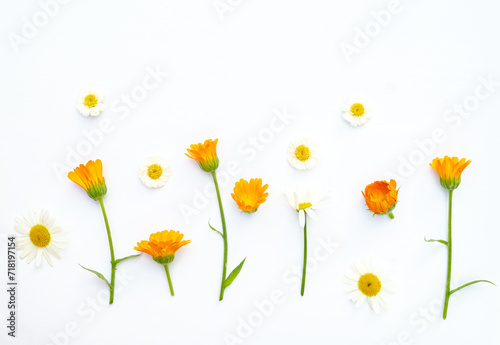 Creative floral layout of orange calendula flowers and daisies on a white background. Top view  flat lay  summer floral background with copy space  minimalism