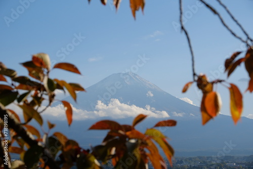 fuji mountain, red maple © Hashbu Production
