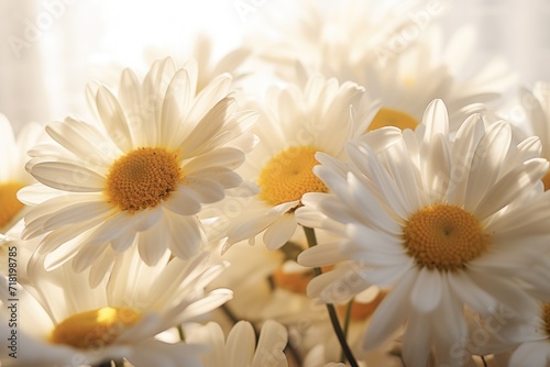  a close up of a bunch of white and yellow daisies in a vase with sunlight streaming through the window behind them and a white curtain behind the daisies.