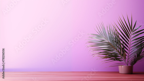 Feuille de palmier sur fond rose, mauve. Jeu d'ombre et de lumière. Nature, coloré, ambiance calme, printanière, estivale. Pour conception et création graphique. photo