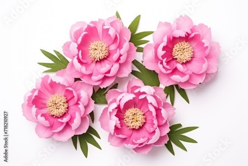  a group of pink flowers with green leaves on a white background, top view, flat lay on a white surface, with copy space for text, top view.