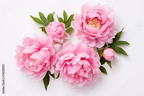  a group of pink peonies with green leaves on a white background, top view, flat layed on a white surface, with copy space for text.
