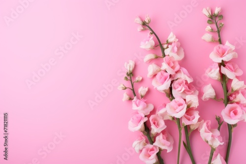  a bunch of pink and white flowers on a pink background with a place for a text or an image with a place for a text on the bottom right side of the image. © Shanti