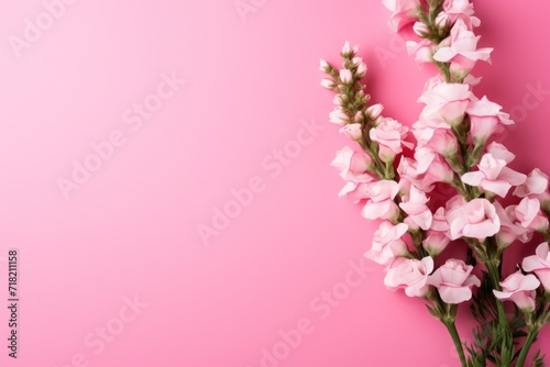  a bunch of pink flowers on a pink background with space for a text or an image of a bouquet of pink flowers on a pink background with space for text.