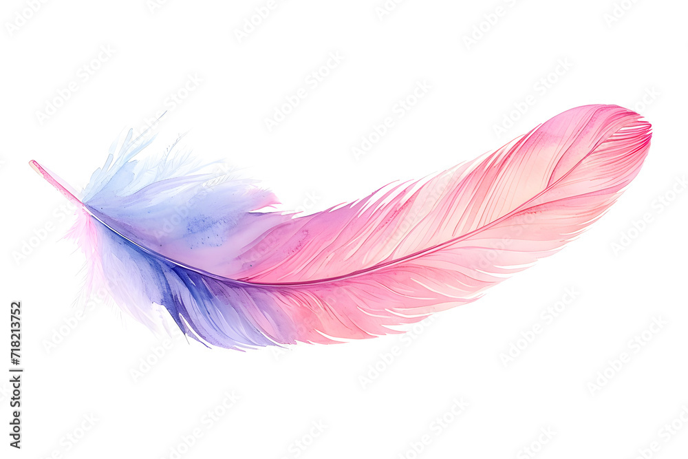 Soft pastel detailed feather in watercolor style isolated on white background Soft pastel detailed feather in watercolor style isolated on white background