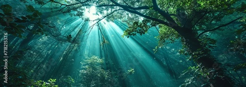 Green Forest Majesty, Sunrays Illuminating the Woods, Generative AI