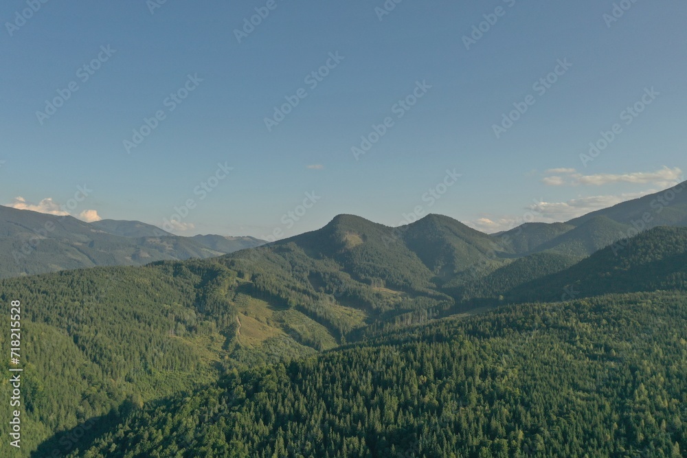 Aerial view of beautiful conifer trees in mountains on sunny day