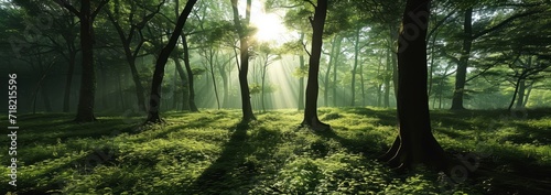 Sunray’s Embrace, Green Forest Aglow, Generative AI