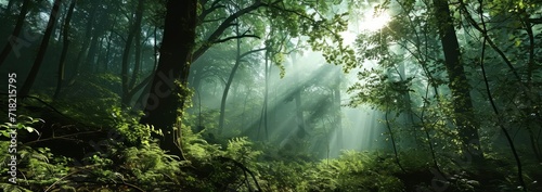 Golden Hour in Green Forest, Sunray’s Touch ,Generative AI