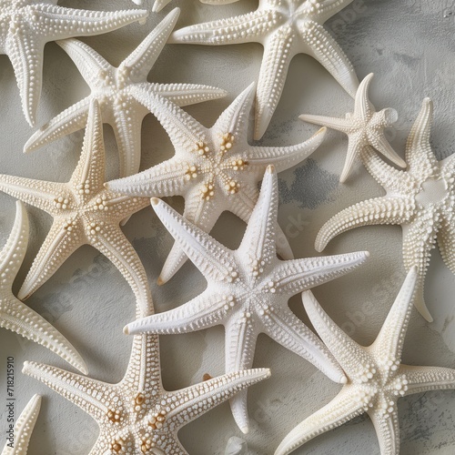 sea starfish isolated on white