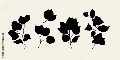 Flat vector bougainvillea flower collection	