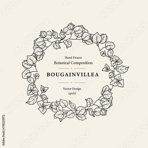 Line art bougainvillea flower frame